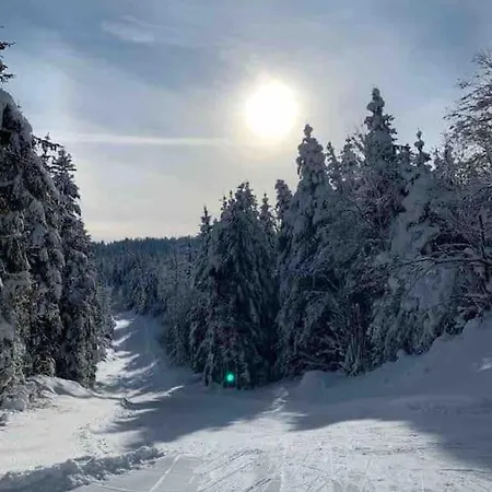 Appmt 4 Pers Aux Pieds Des Pistes *